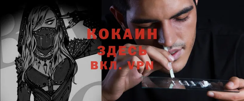 COCAIN Эквадор  ссылка на мегу как войти  Североморск 